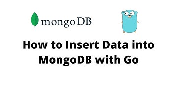 How to Insert Data into Mongo DB with Go