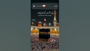 Quran tilawat | القرآن الكريم | عبدالرحمن مسعد