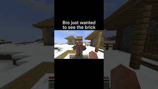 Minecraft Meme