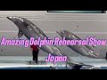 Live streaming of Janet’SVlog Amazing Dolphin Rehearsal Show Up close personal video shots#Dolphin
