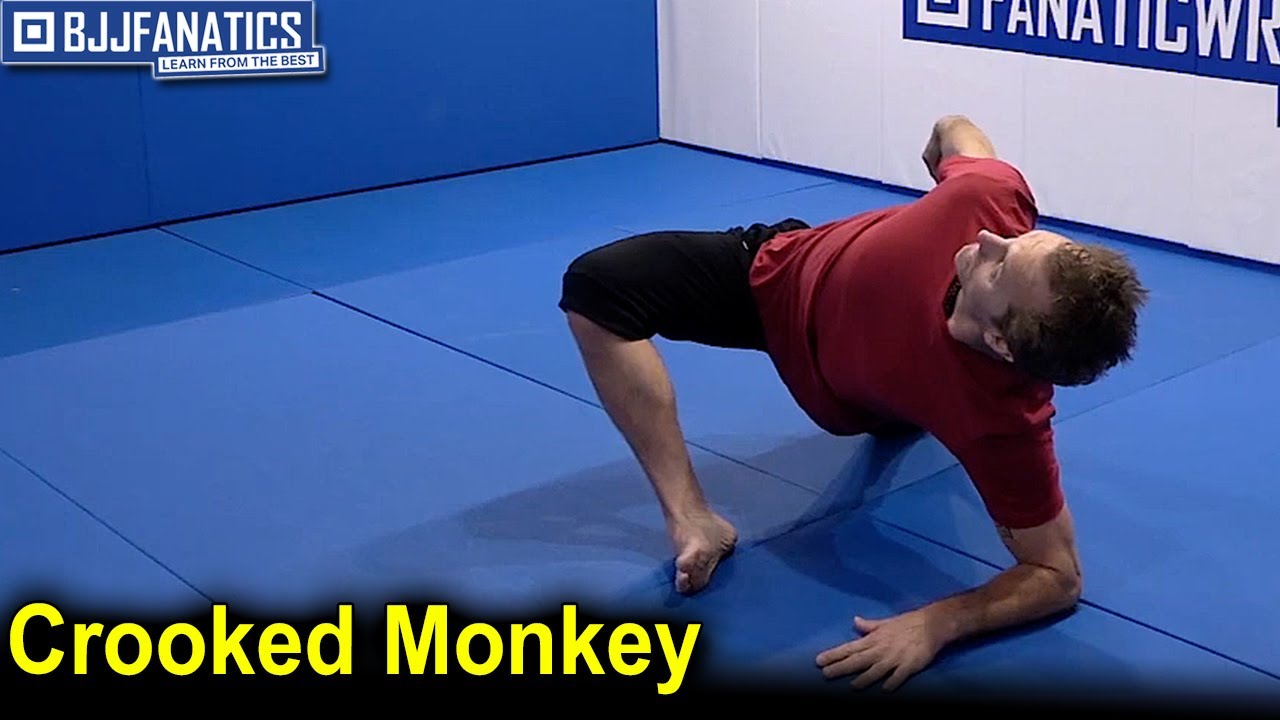 jiu jitsu and back pain - All topics relating to 'the Monkey Gym' - Stretch  Therapy Community Forums