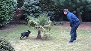 20100313_Churchill_102_Lille.AVI