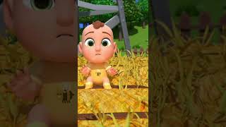 Humpty Dumpty Where Is An Egg ?