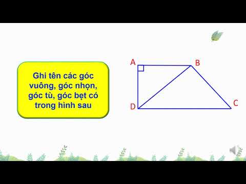Tuần 10 - Toán - Bài: Luyện tập (tr.55)