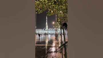 تلاوة من سورة الأنعام - القارئ عبد الرحمن أسامة