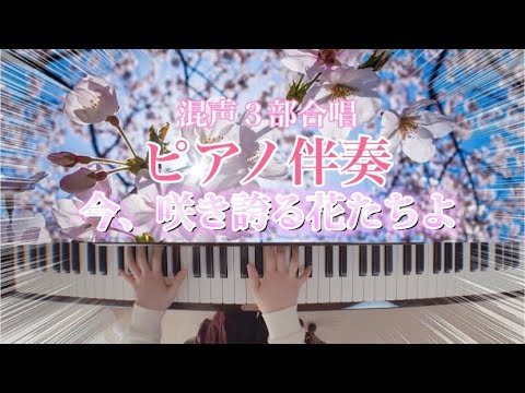 今、咲き誇る花たちよ　合唱　ピアノ伴奏　⚠️テンポ90%