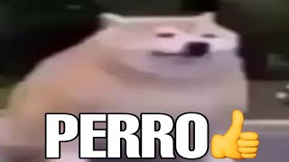 Shitpost compilation V37 || shitposting en español