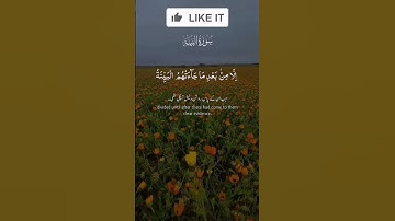 ارح سمعك قرآن الكريم بصوت جميل #القرآن_الكريم #المصحف