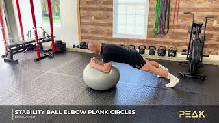 How to Do Stability Ball Elbow Plank Circles