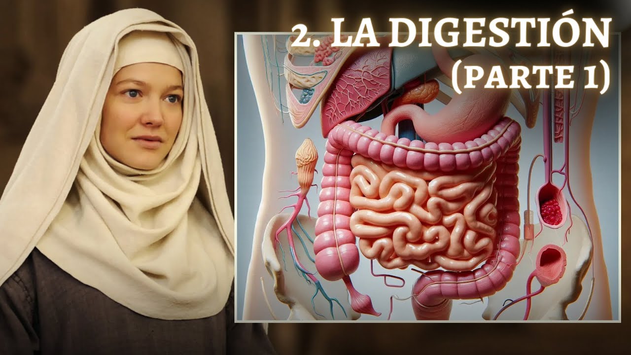 MÉTODO SANTA HILDEGARDA 2: CÓMO CURAR EL APARATO DIGESTIVO