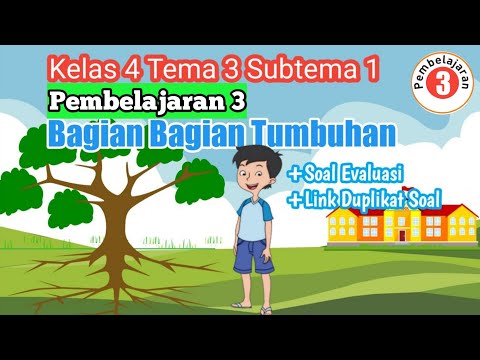 BDR KELAS 3 TEMA 1 SUBTEMA 4 PEMBELAJARAN 5. 