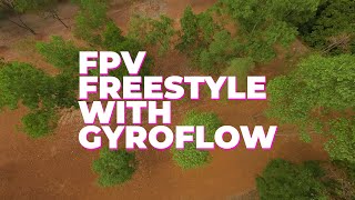 Freestyle With Gyroflow Susahfpv #Freestyle15