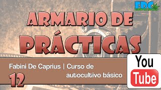 012 - Curso de #autocultivo | Práctica (Segunda parte)