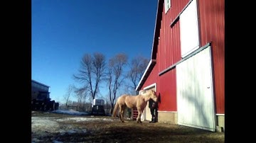 Sidepassing Towards - concept lesson Karo