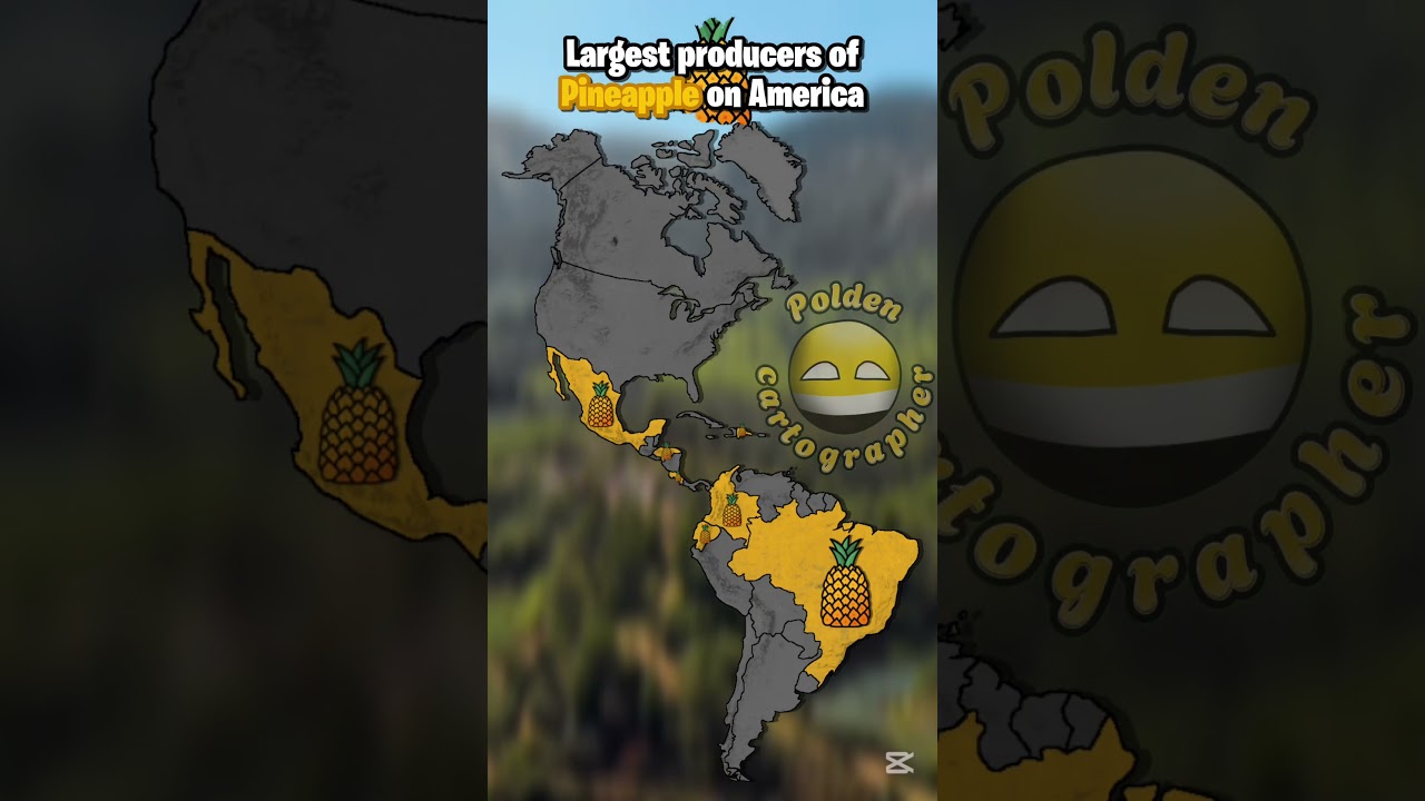 Largest producers part 5 | 