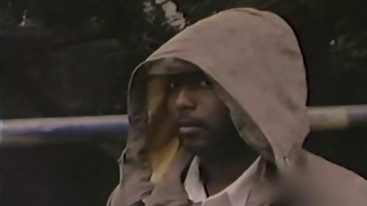 WAS Seagram KILLED BY HIS FRIENDS   The DarkRAODS