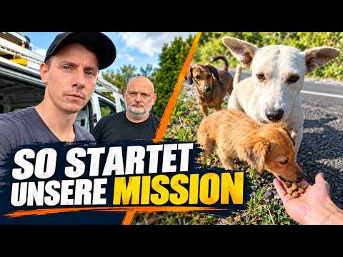 Breakdown, Cancellation, Stray Dogs: How Our Mission in Romania Begins