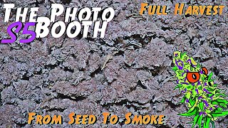 The Photo Booth S5 Ep. 15 | Full Harvest | From Seed To Smoke