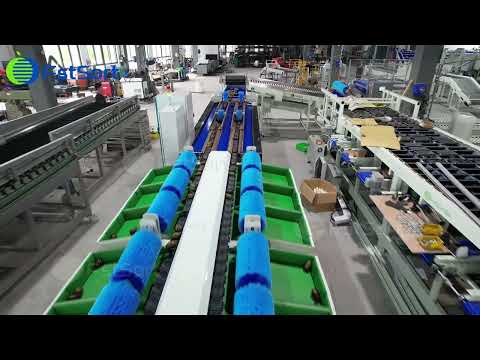 🥑⚙️Avocado Weight Sorting Machine – Dual-Lane, 9 Exits per Lane | ±2g