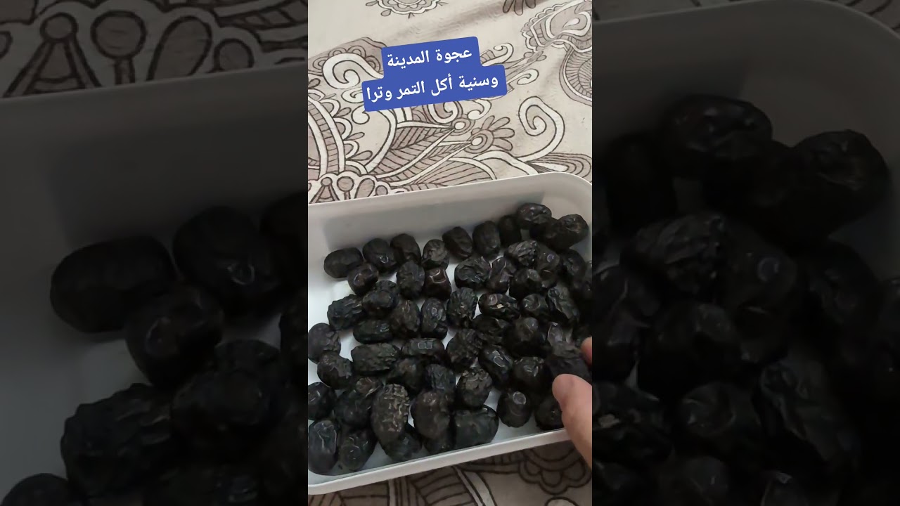 عجوة المدينة وسنية أكل التمر وترا