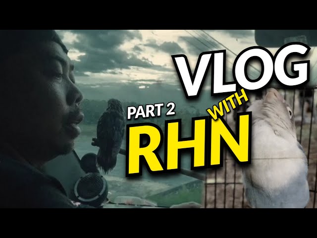 VLOG | DARI PAGI SAMPAI MALAM BERSAMA RHN SALATIGA PART 2 #rhnsalatiga #ljbirdcontest#nocontent class=