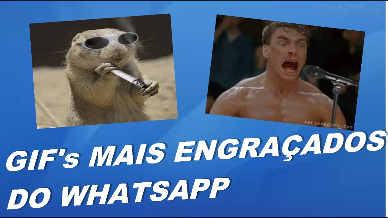 vpn whatsapp brasil engracado