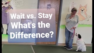 STAY vs. WAIT ~ What's the difference and why it's important