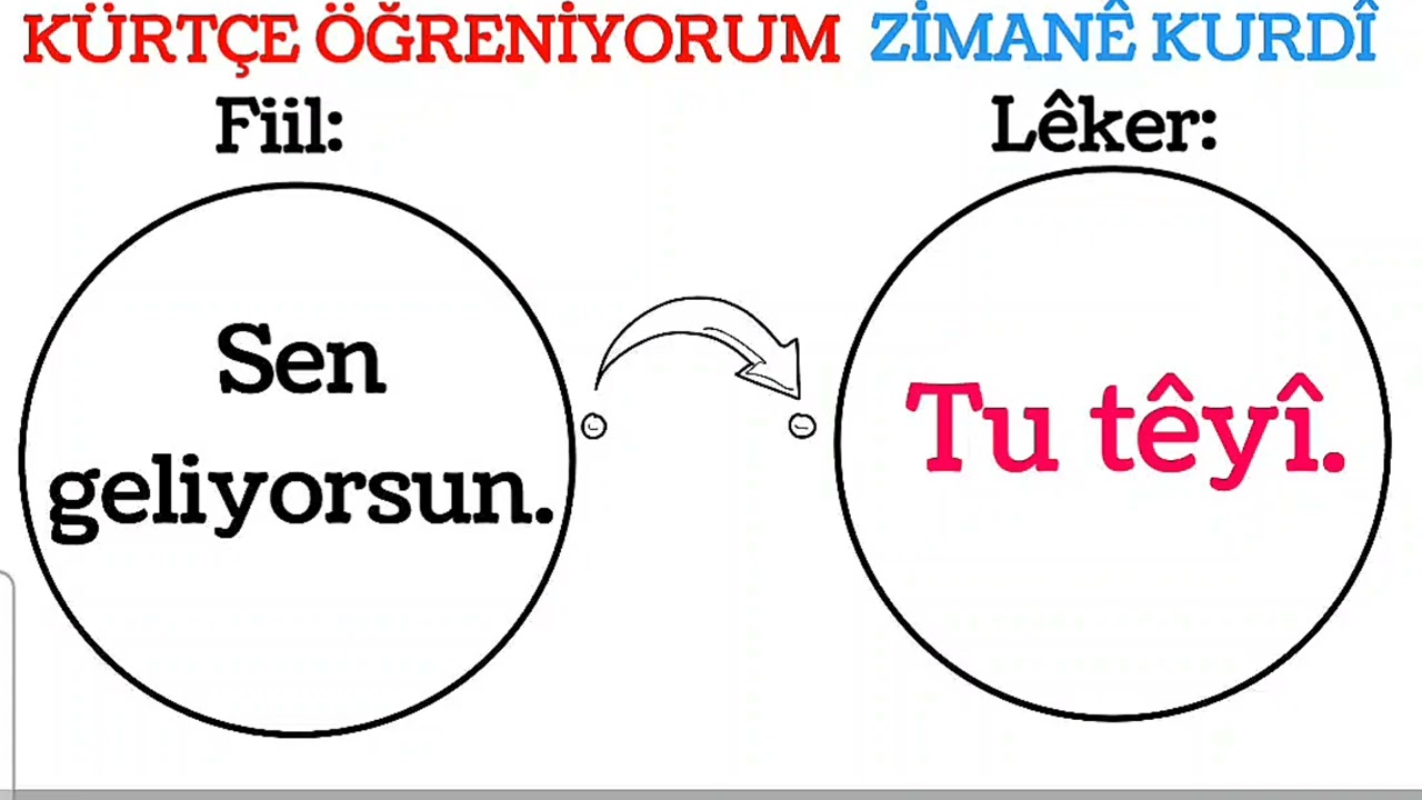 Kürtçe Öğreniyorum || Zimanê Kurdî 1
