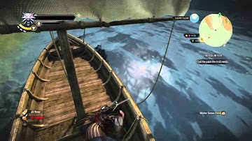 The Witcher 3: Wild Hunt - Fall from sky glitch