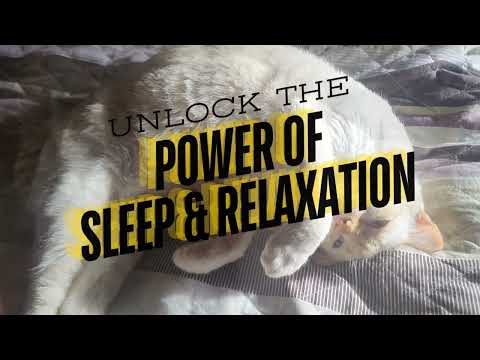 Welcome to Relax Baby DEEP SLEEP - Unlock the Power of Sleep and Relaxation
