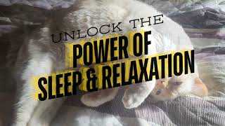 Welcome to Relax Baby DEEP SLEEP - Unlock the Power of Sleep and Relaxation
