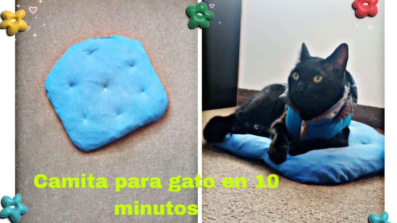 Linda cama  para gato en 10 minutos aprovechando los retazos de tela 😃😸