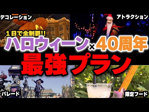 【攻略vlog】ディズニーハロウィーンと40周年を1日で満喫する最強プランを紹介！注意点も