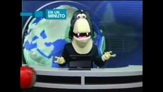 Tic Tac En Un Minuto Confunden Perro Con Cachorro De León