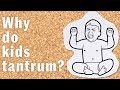 Why do kids tantrum?