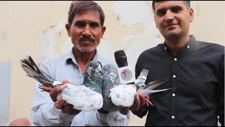 Kabutar Market Lalukhet Sunday Video Latest Update 12-11-21 in Urdu/Hindi.