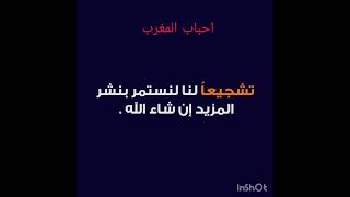 من روائع اللغة العربية : لماذا نقول كلمة صاح بدلا من صاحبي ؟  للشيخ سعيد الكملي