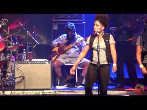 The Wailers & Julian Marley - THE HEATHEN - 2016