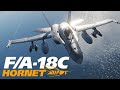 DCS F/A-18C VR Operation Levant with Goon