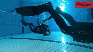 Sesion Con Ocean Reef