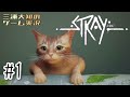 #1 【猫が可愛すぎて俺がうるさい】三浦大知の「Stray」