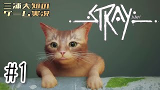 #1 【猫が可愛すぎて俺がうるさい】三浦大知の「Stray」