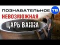 Неудобная история: Невозможная царь-ванна (Познавательное ТВ, Артём Войтенков)