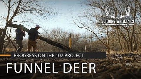 How to Funnel Deer Movement | Building Whitetails | SPYPOINT