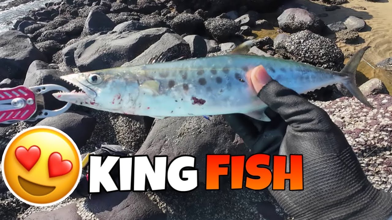 FISHING IN GOA | FIRST KING FISH CATCH | FULL FOGGY MORNING