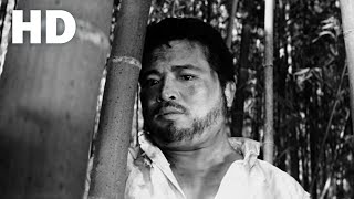 Burning Mountain ( Sanbul )(1967)