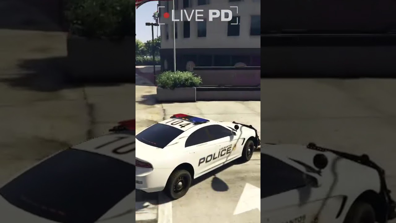 #gta5 #fivem #muddywaters #gtarp PIT Maneuver!