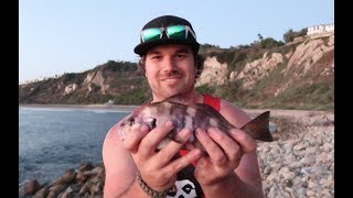 Jason wanted a taste of ballona creek, so we headed over there for
couple hours and only caught one spotty! the next night decided
something b...