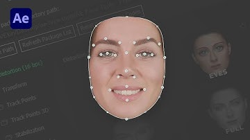 ПРЕОБРАЗОВАНИЕ ЛИЦА — это легко! Учебное пособие по инструментам AE Face для начинающих