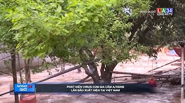 Phát hiện virus cúm gia cầm A/H5N8 lần đầu xuất hiện tại Việt Nam | LONG AN TV